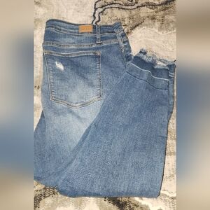Judy Blue Light Wash Plus Skinny Fit Distressed Style JB8847